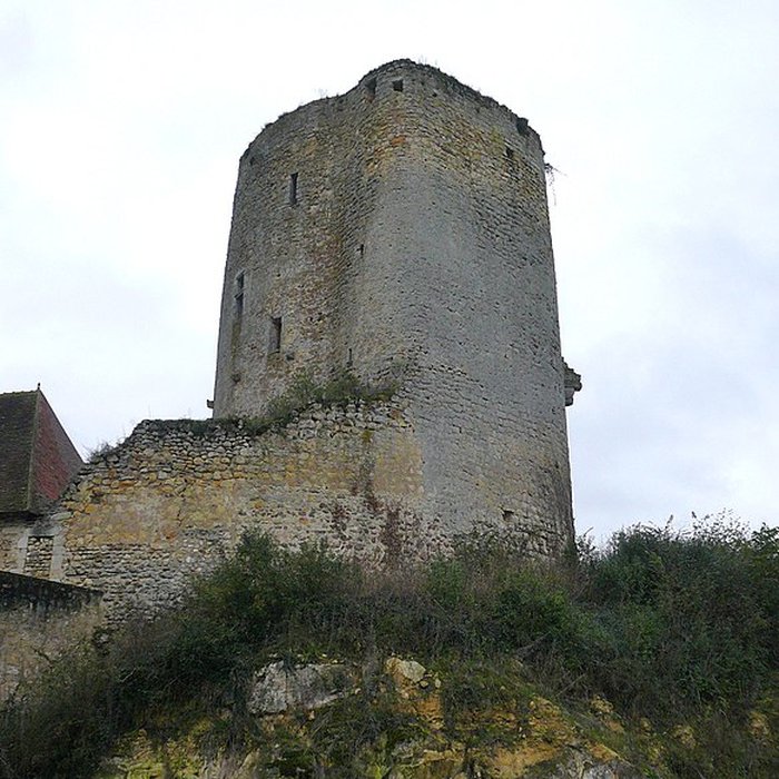 Photo de Château du Châtelier