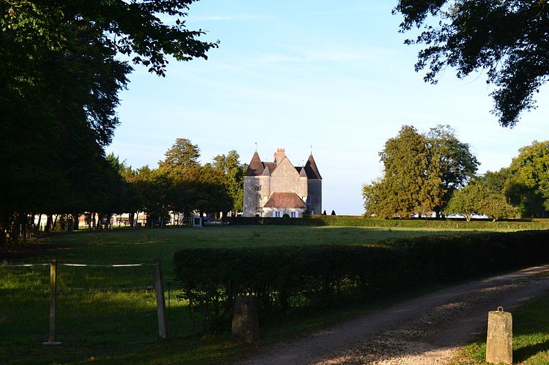Photo de Château du Plessis à La Celle-Condé