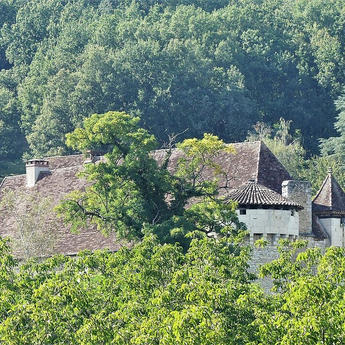 Photo de Château du Saulou