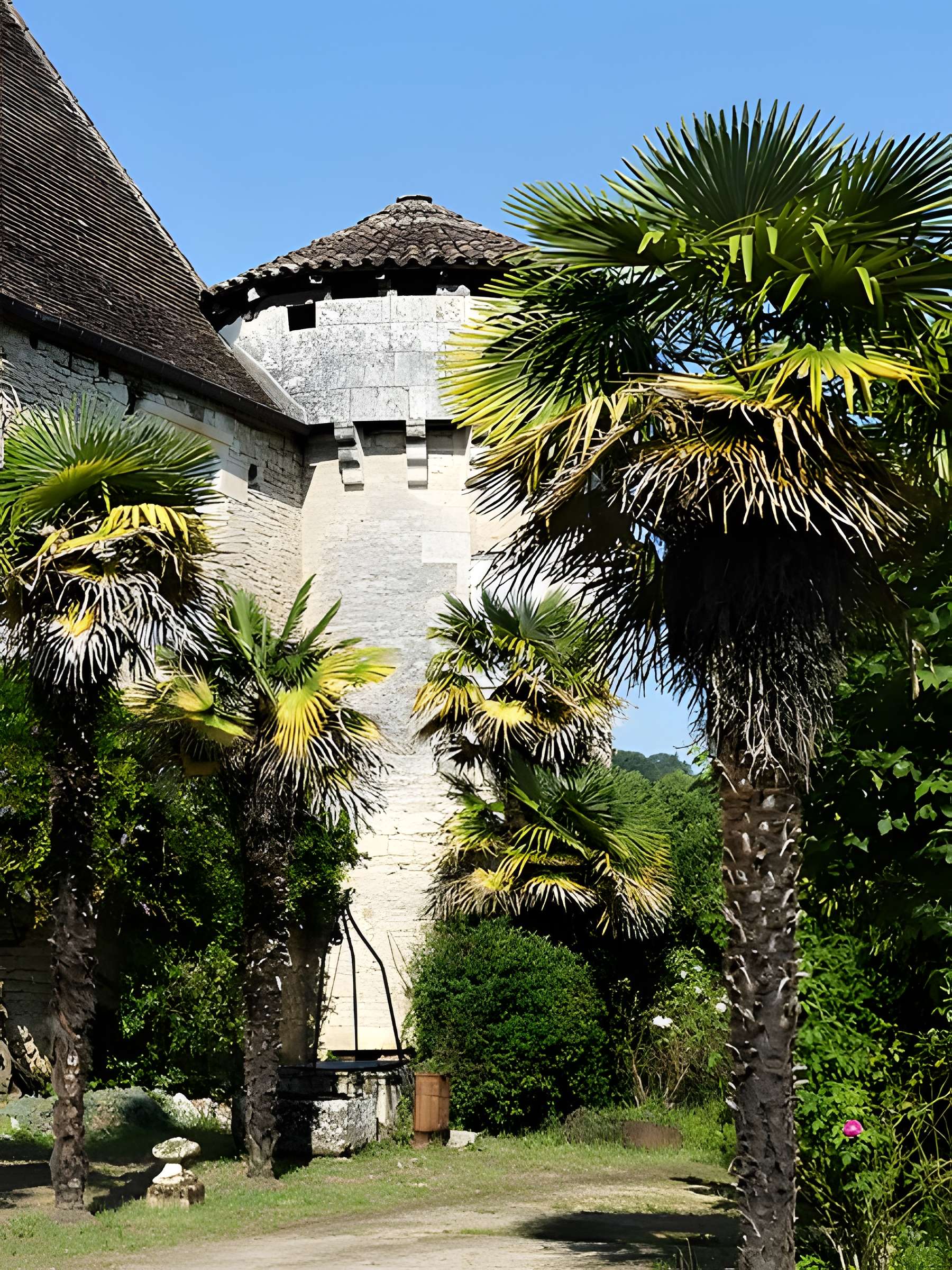 Château du Saulou