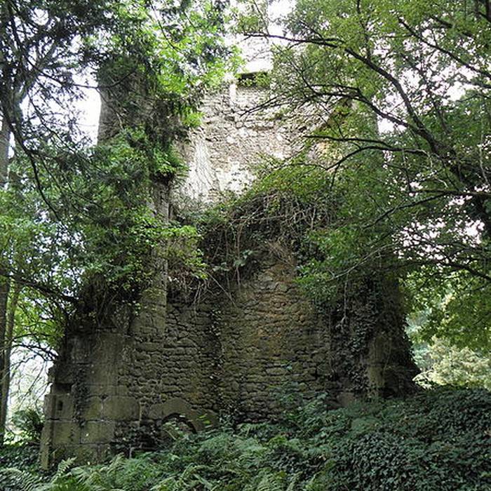 Photo de Château du Tiercent