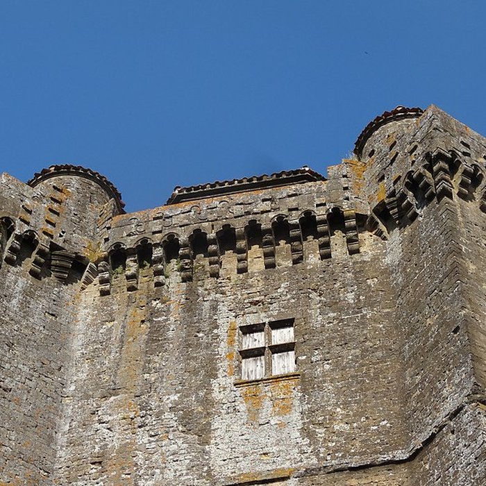 Photo de Château du XVIIe siècle de Bassoues