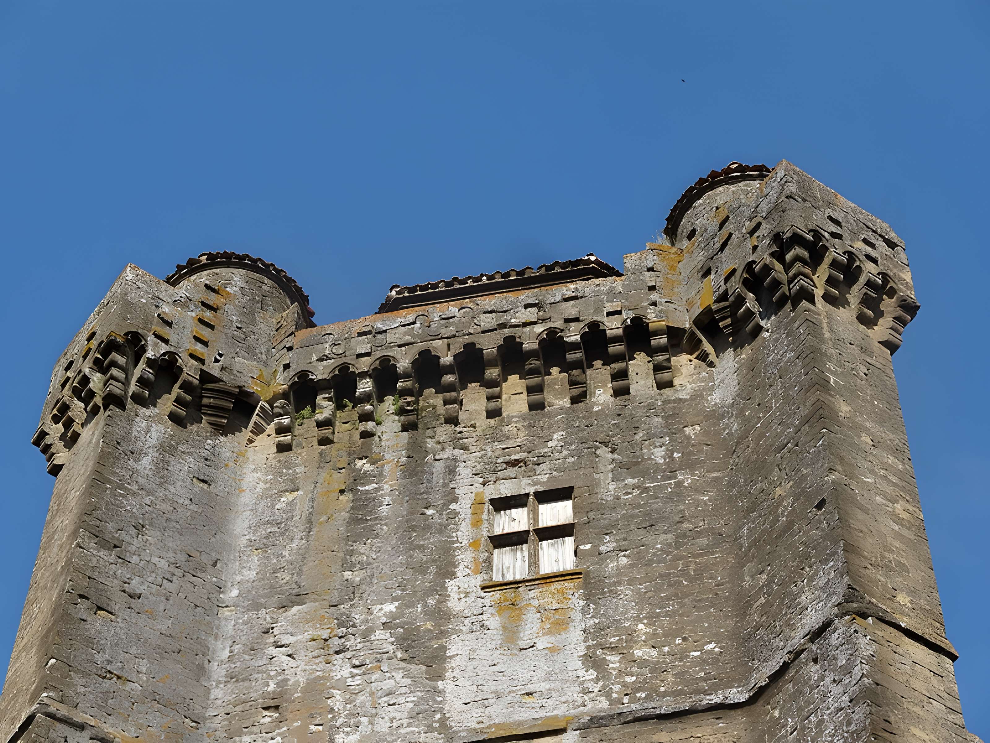 Château du XVIIe siècle de Bassoues