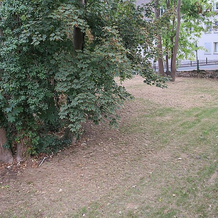 Photo de Château dYerres