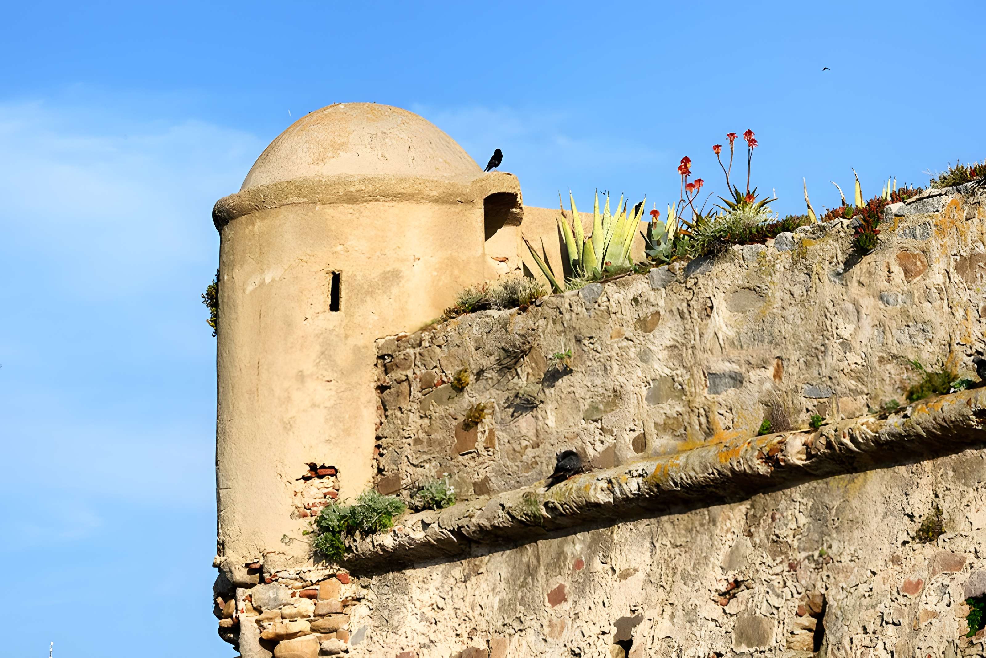Château fort d'Algajola