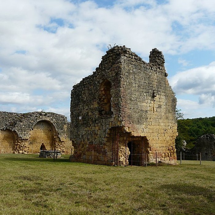Photo de Château fort de Molières