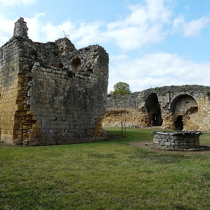 Photo de Château fort de Molières
