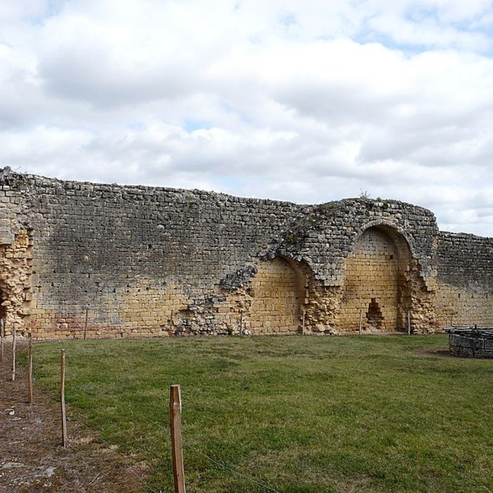 Photo de Château fort de Molières