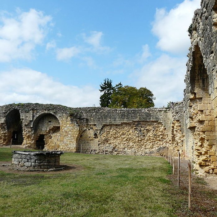 Photo de Château fort de Molières