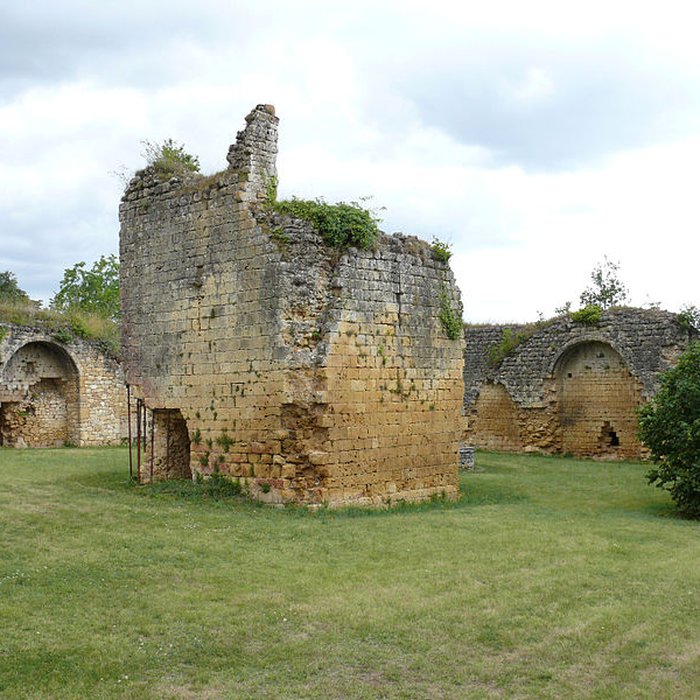Photo de Château fort de Molières