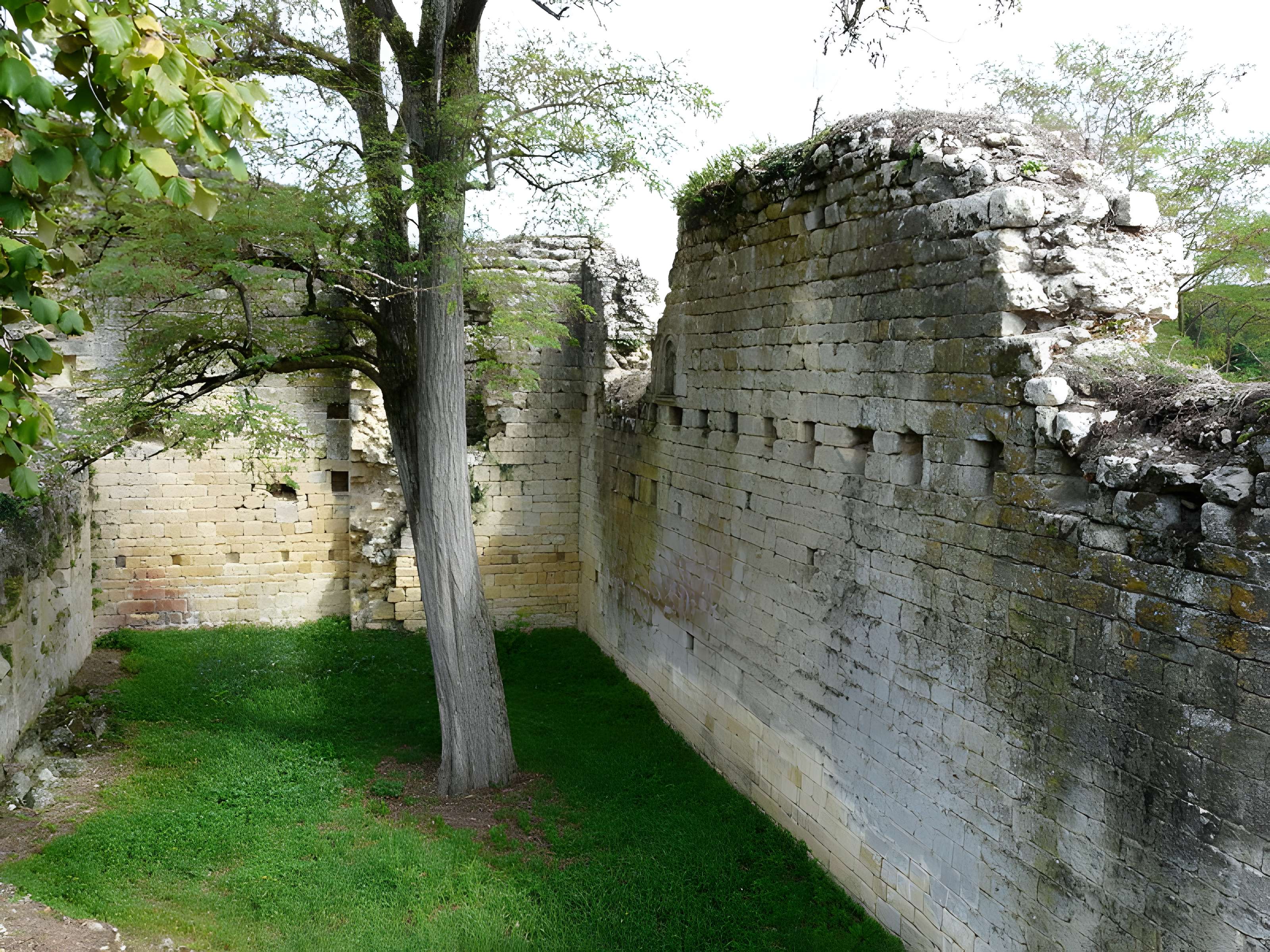 Château fort de Molières