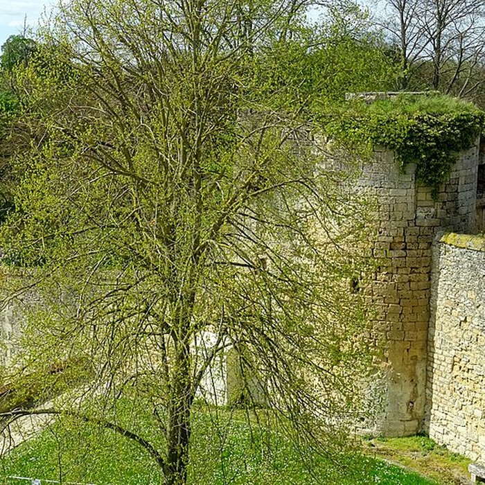 Photo de Château Saint-Aubin de Crépy-en-Valois