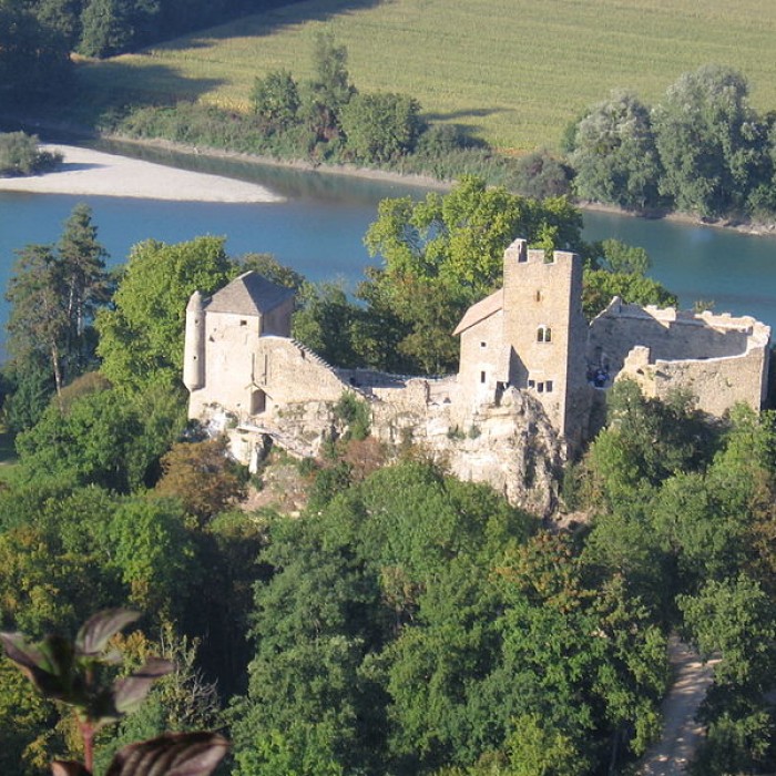 Photo de Château Vieux de Vertrieu