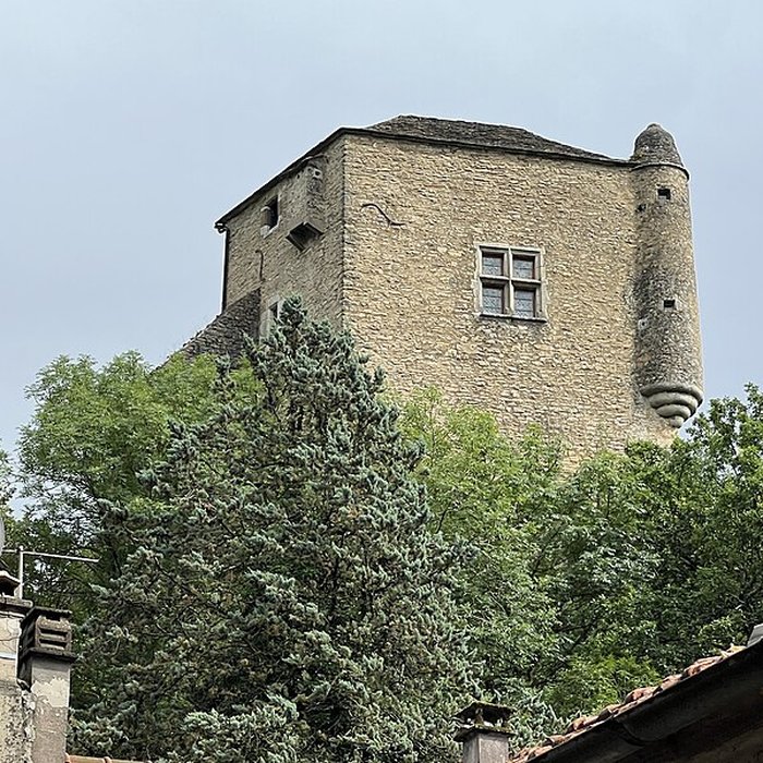 Photo de Château Vieux de Vertrieu