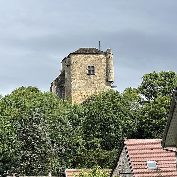 Photo de Château Vieux de Vertrieu