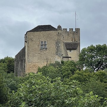 Château Vieux de Vertrieu