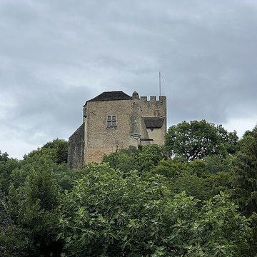 Château Vieux de Vertrieu