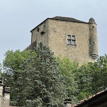 Château Vieux de Vertrieu