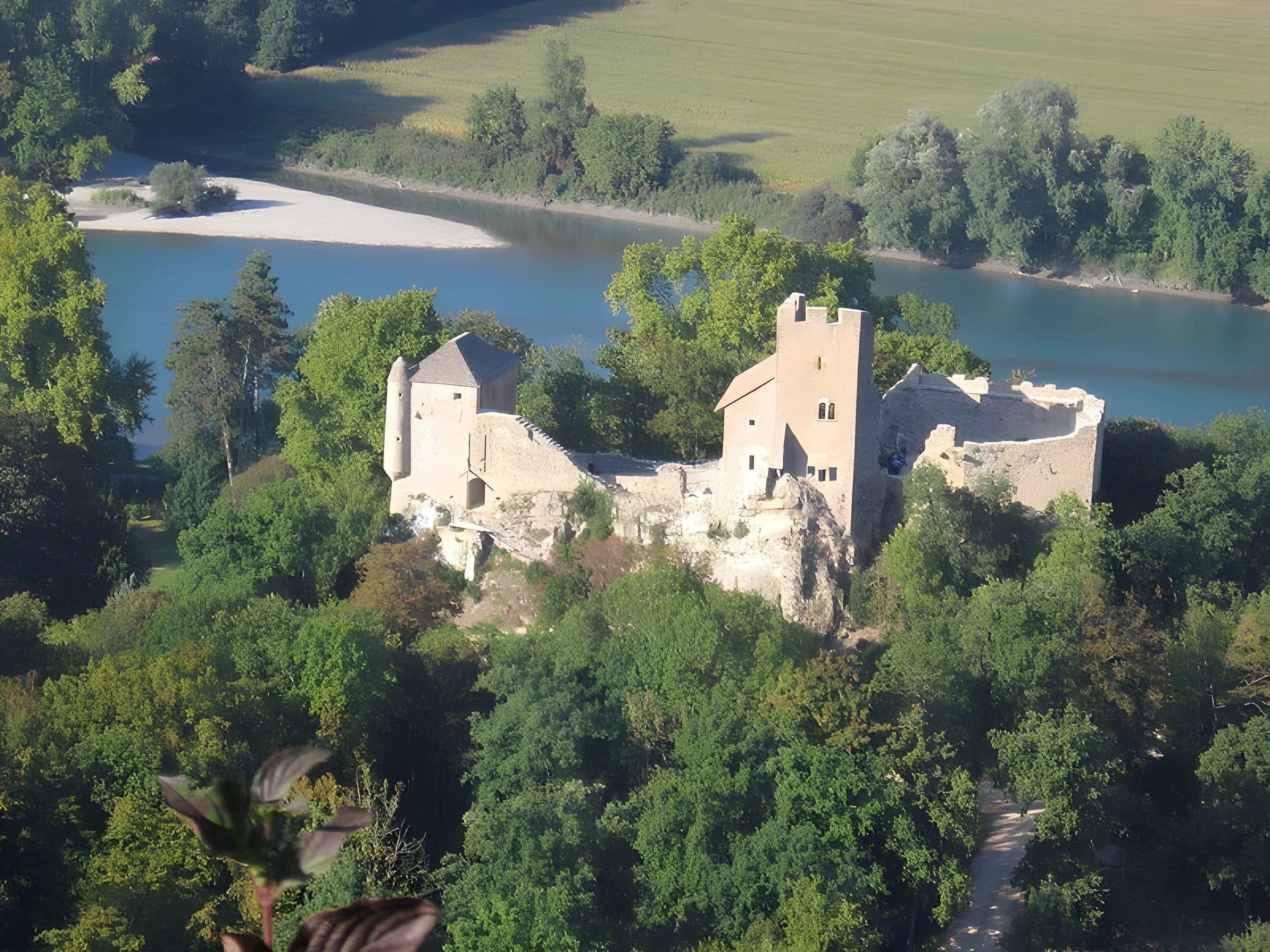 Château Vieux de Vertrieu 