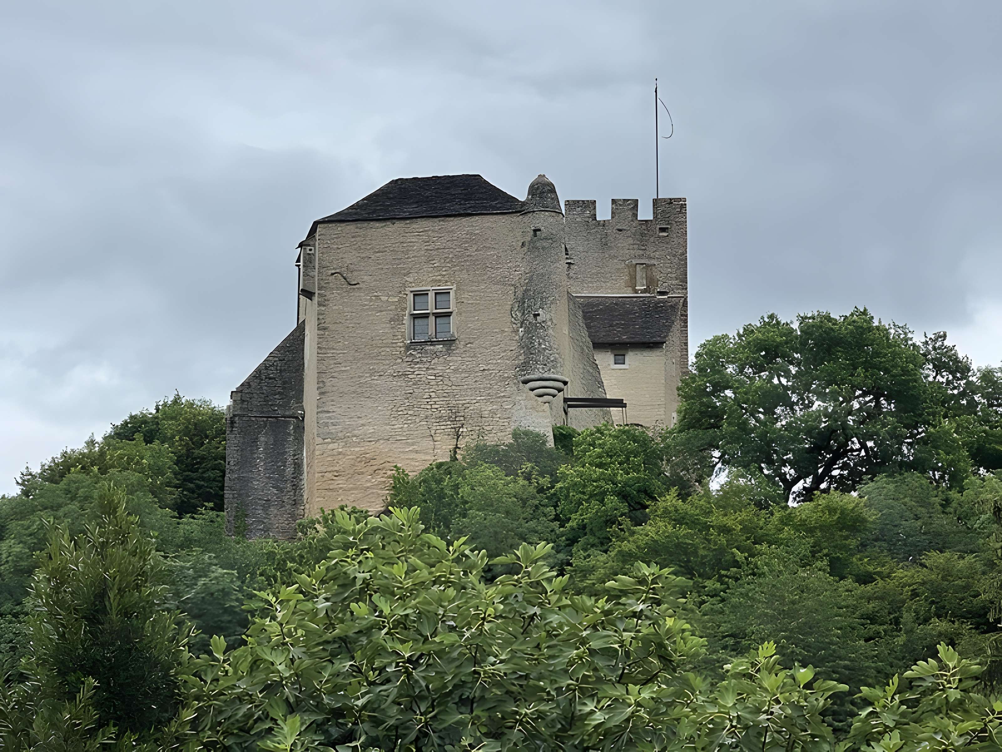 Château Vieux de Vertrieu