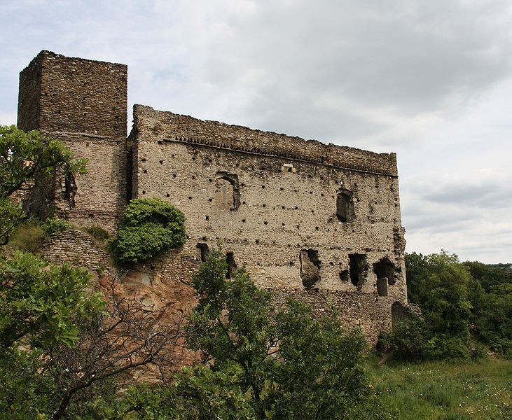 Photo de Château-fort de Seyssuel