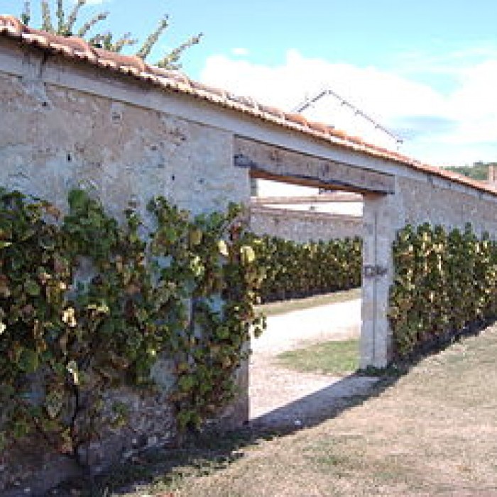 Photo de Chemin des Longs Sillons de Thomery