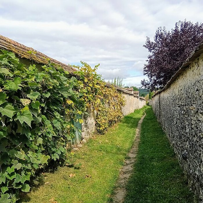 Photo de Chemin des Longs Sillons de Thomery