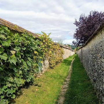 Chemin des Longs Sillons de Thomery