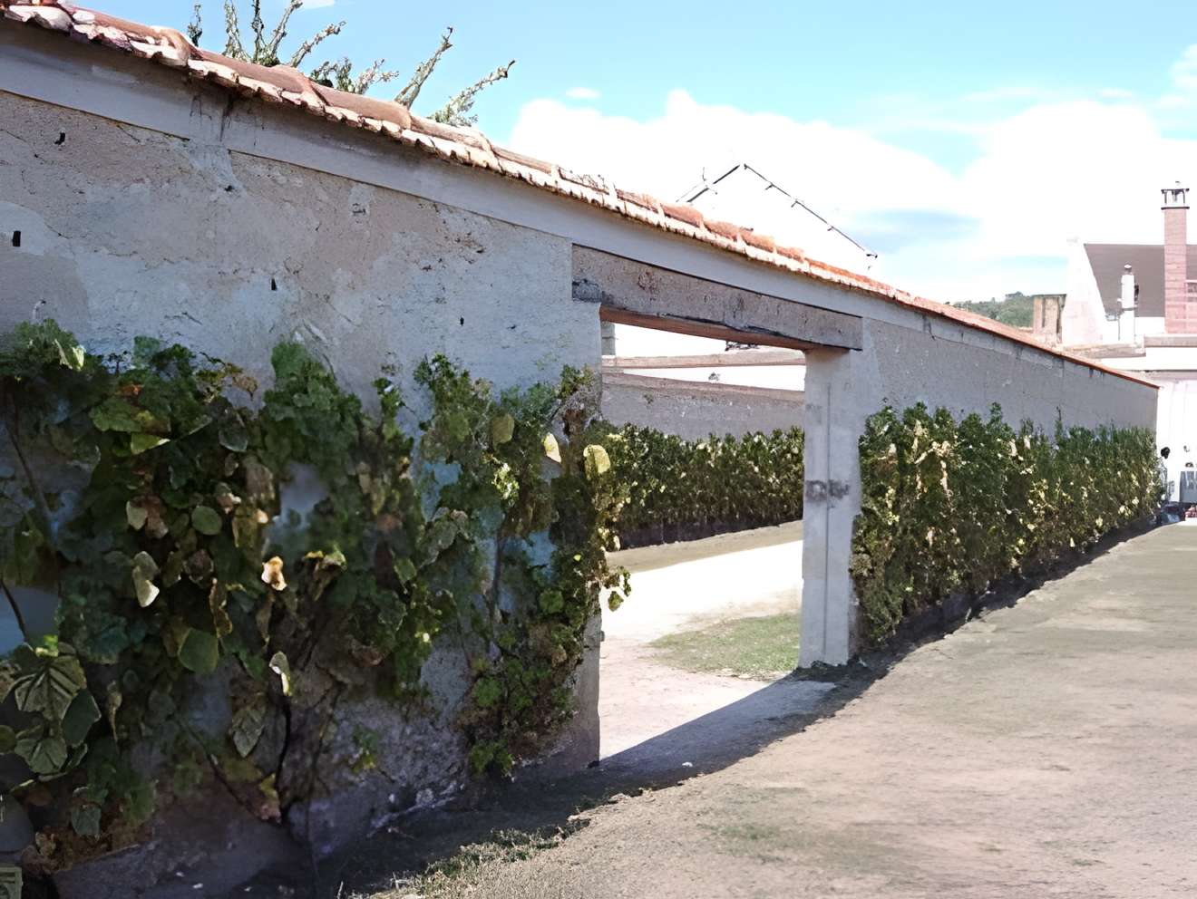 Chemin des Longs Sillons de Thomery 