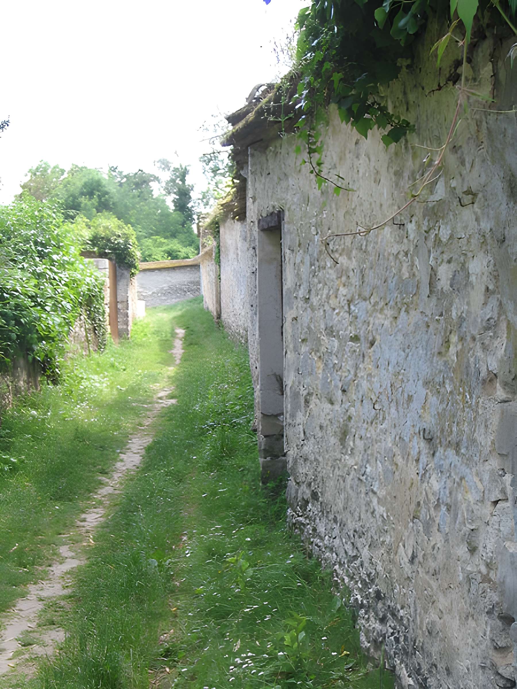 Chemin des Longs Sillons de Thomery