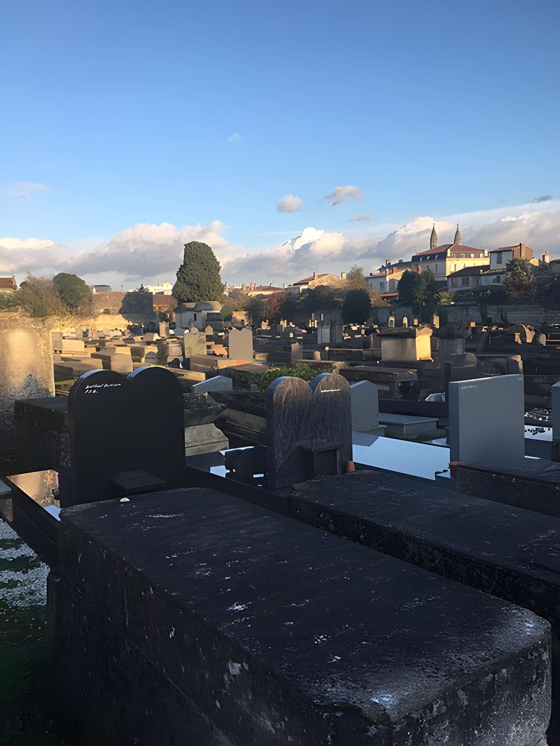 Cimetière des Juifs portugais, Cours de l'Yser à Bordeaux