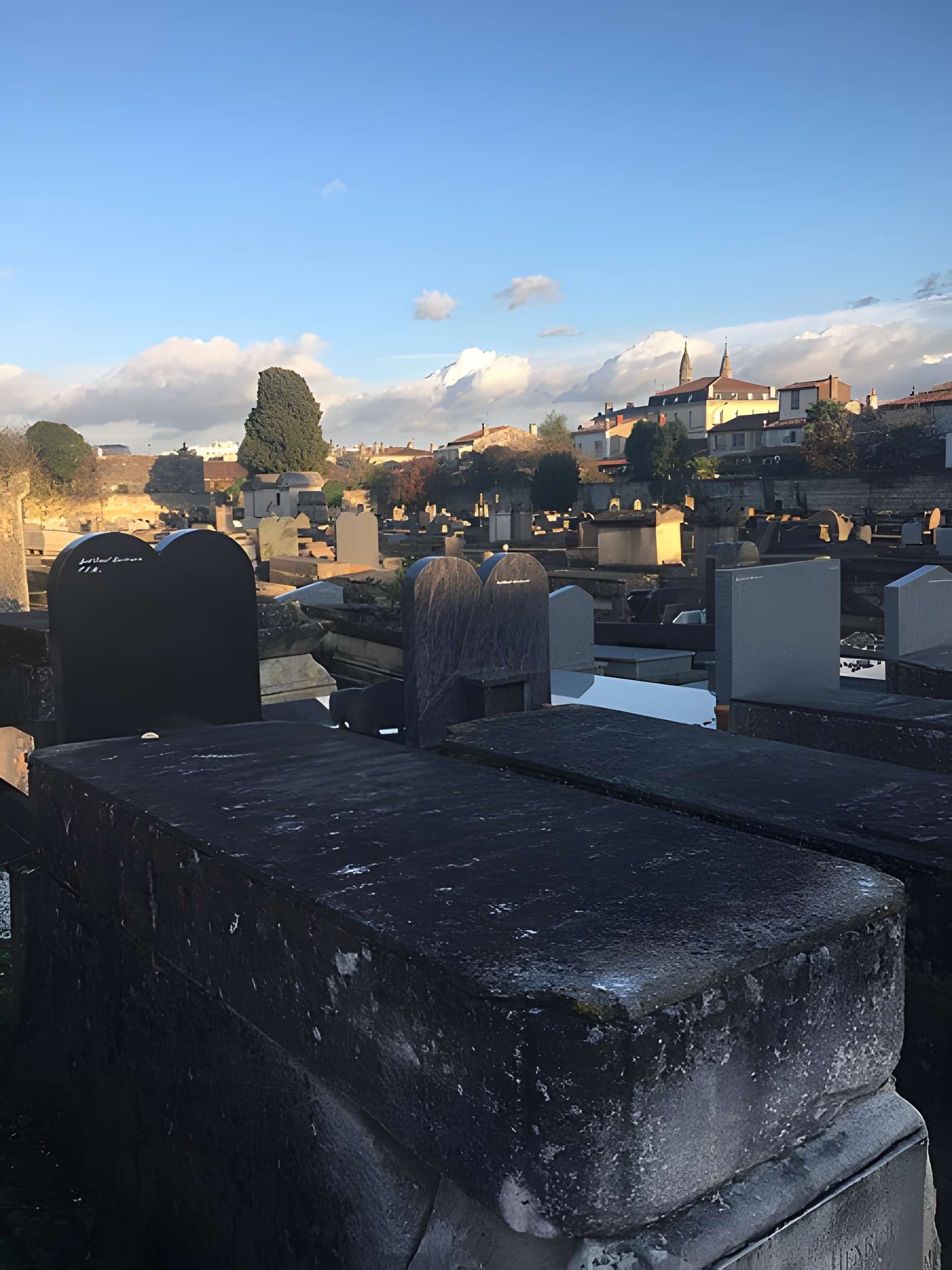 Cimetière des Juifs portugais, Cours de l'Yser à Bordeaux