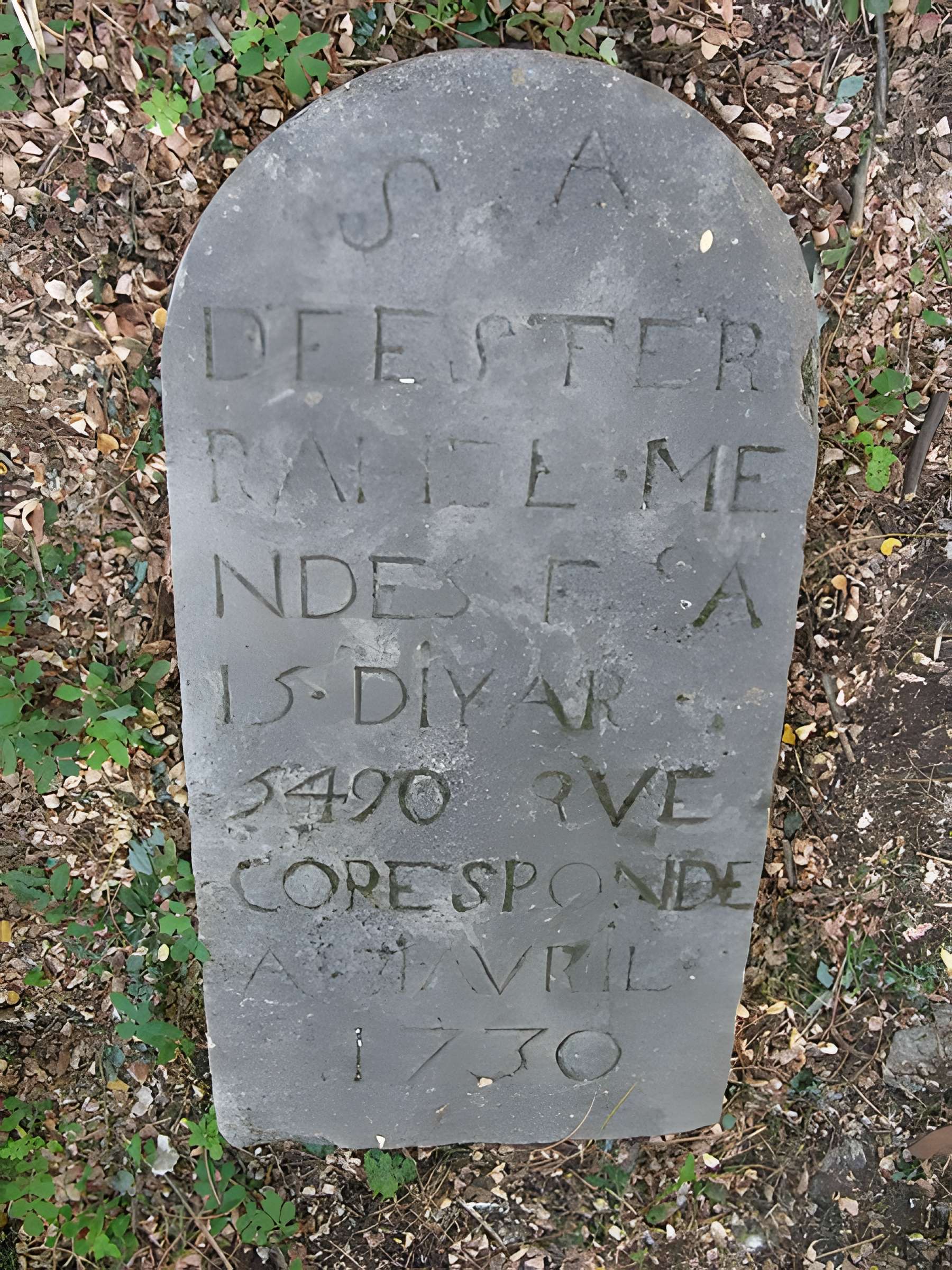 Cimetière des Juifs portugais, Cours de l'Yser à Bordeaux