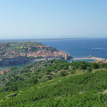 Église Notre-Dame-des-Anges de Collioure