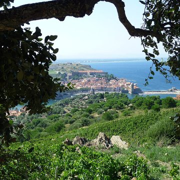 Église Notre-Dame-des-Anges de Collioure