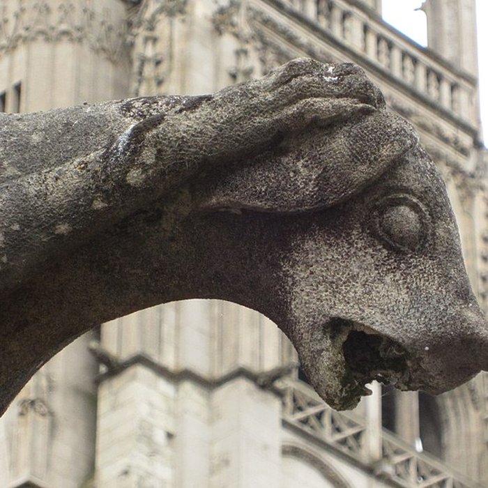 Photo de Cloître de la Psalette à Tours