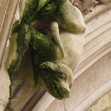 Cloître de la Psalette à Tours