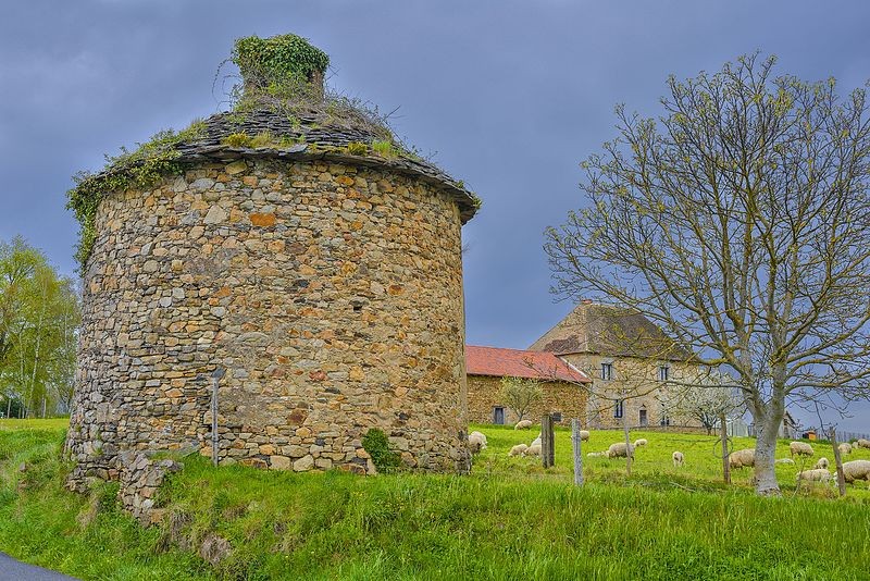 Photo de Colombier de la Ribière