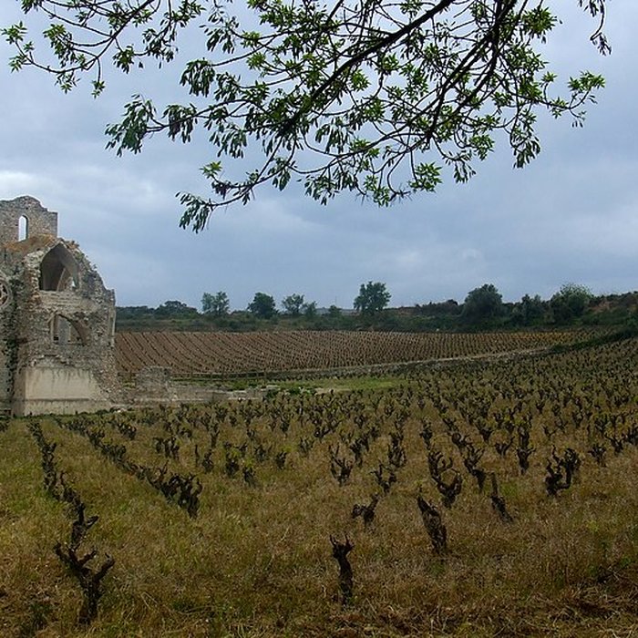 Photo de Église Notre-Dame-des-Oubiels de Portel-des-Corbières