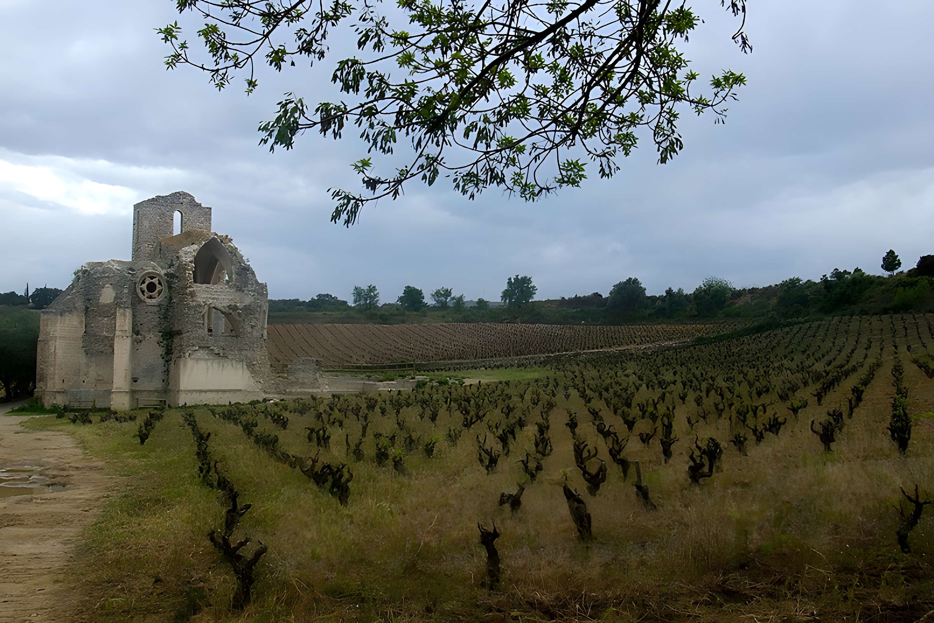 Église Notre-Dame-des-Oubiels de Portel-des-Corbières