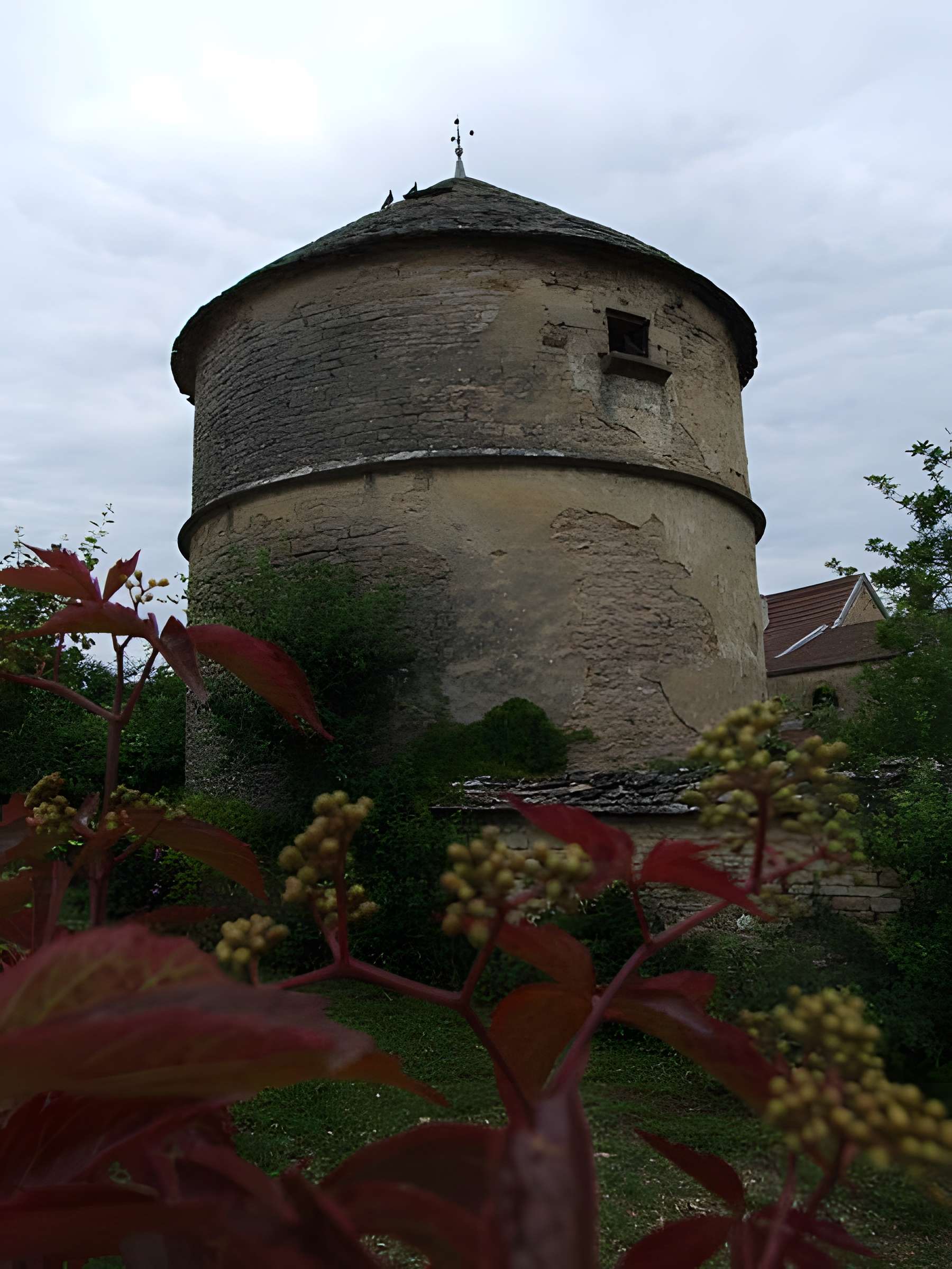 Colombier de Marsannay-la-Côte 