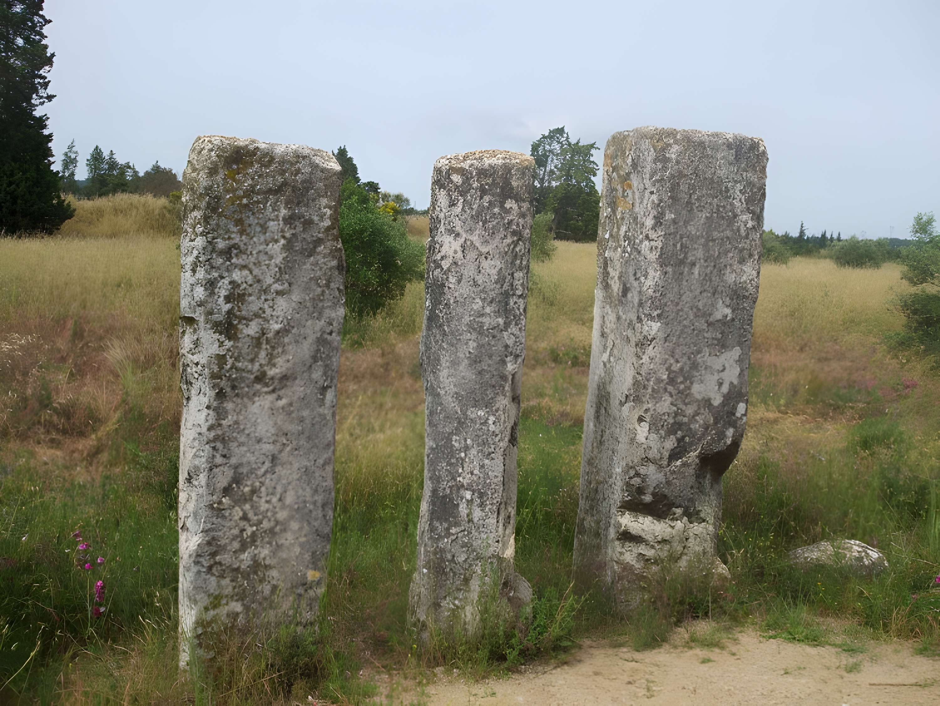 Colonnes de César à Beaucaire 