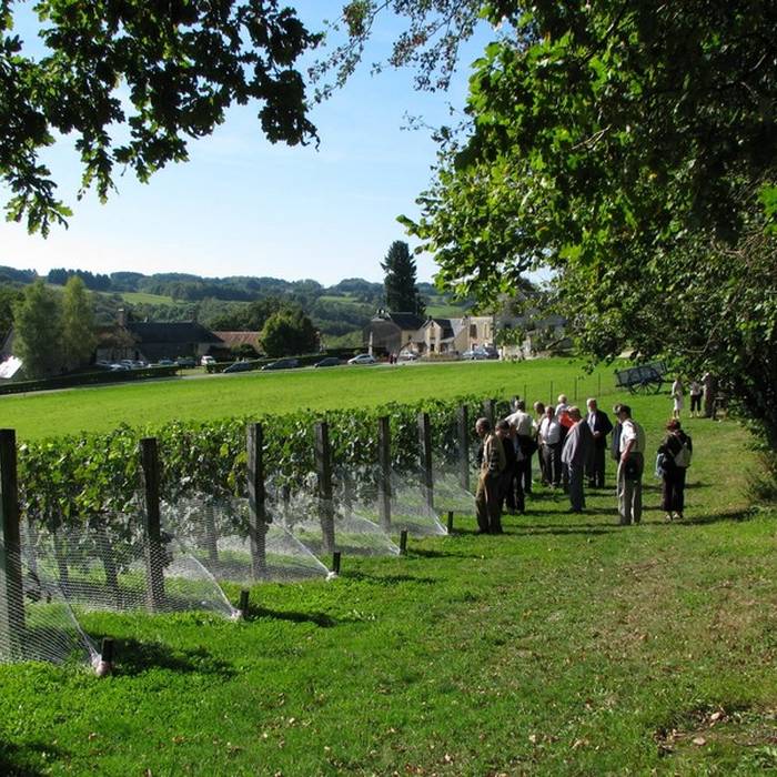 Photo de Commanderie de Soudaine-Lavinadière