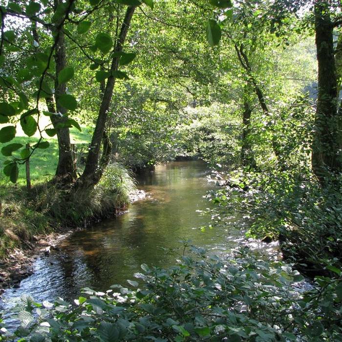 Photo de Commanderie de Soudaine-Lavinadière