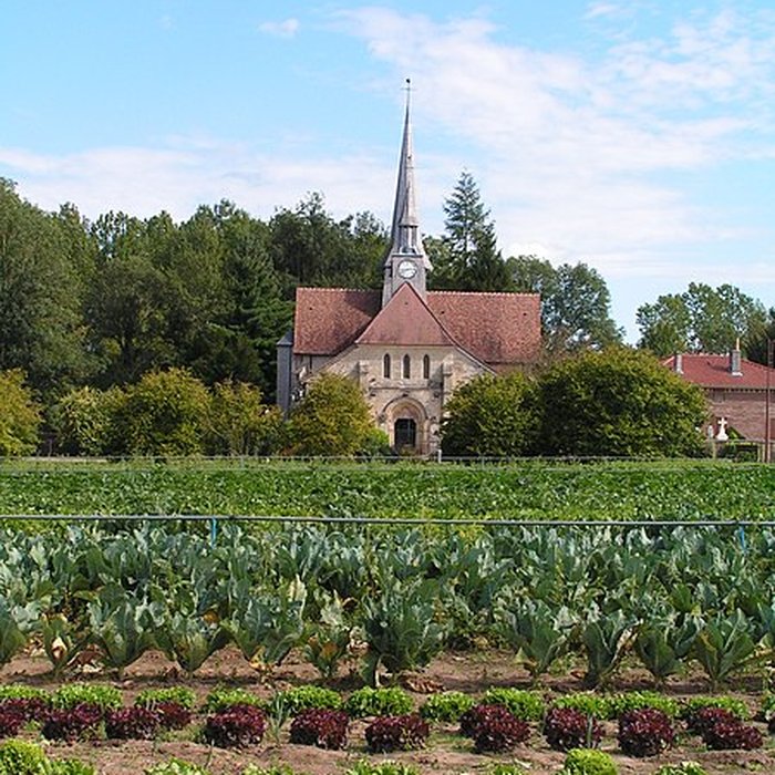 Photo de Église Notre-Dame-en-sa-Nativité de Puellemontier