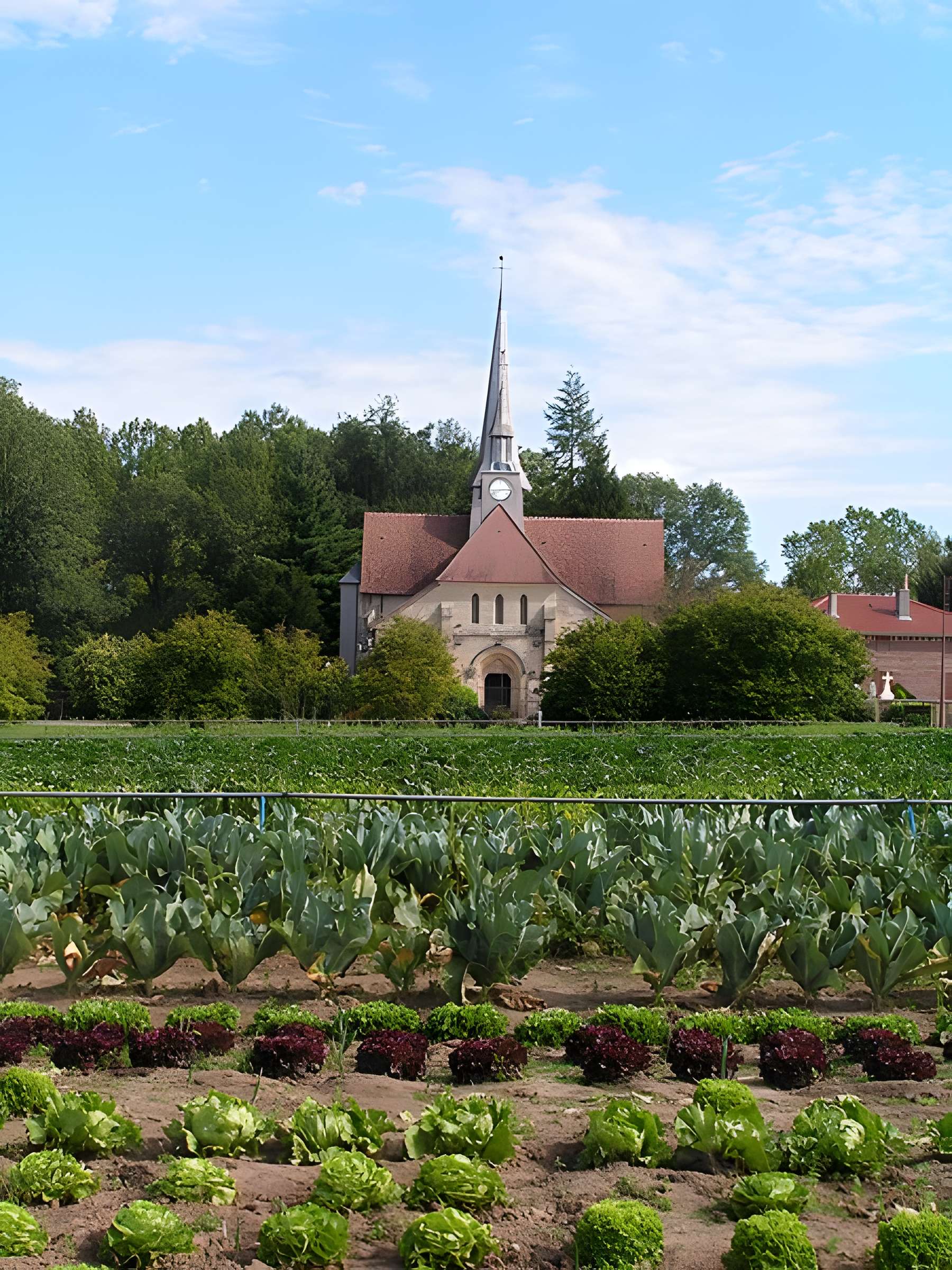 Église Notre-Dame-en-sa-Nativité de Puellemontier