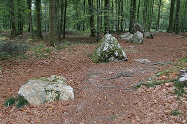 Photo de Cordon des Druides de Landéan
