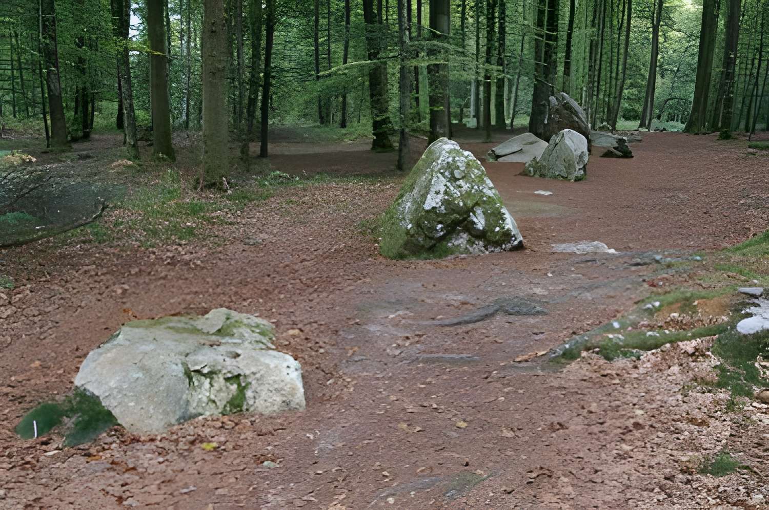 Cordon des Druides de Landéan 