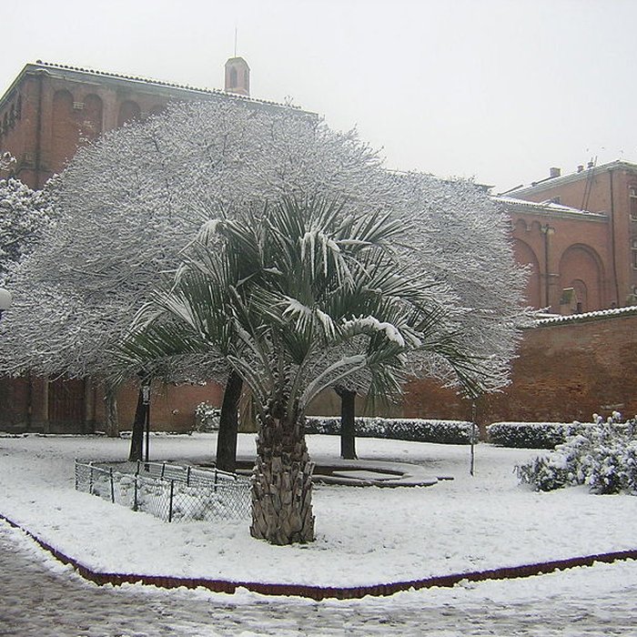 Photo de Couvent des Augustins de Toulouse