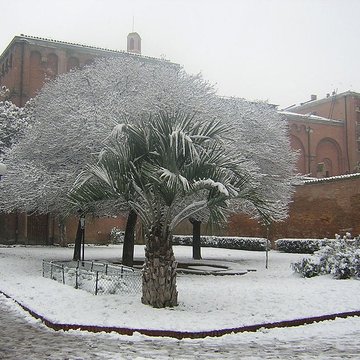 Couvent des Augustins de Toulouse 